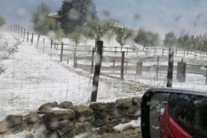 grandinata 6 luglio ph regione piemonte