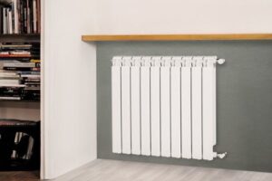 Termosifone ph comune Torino